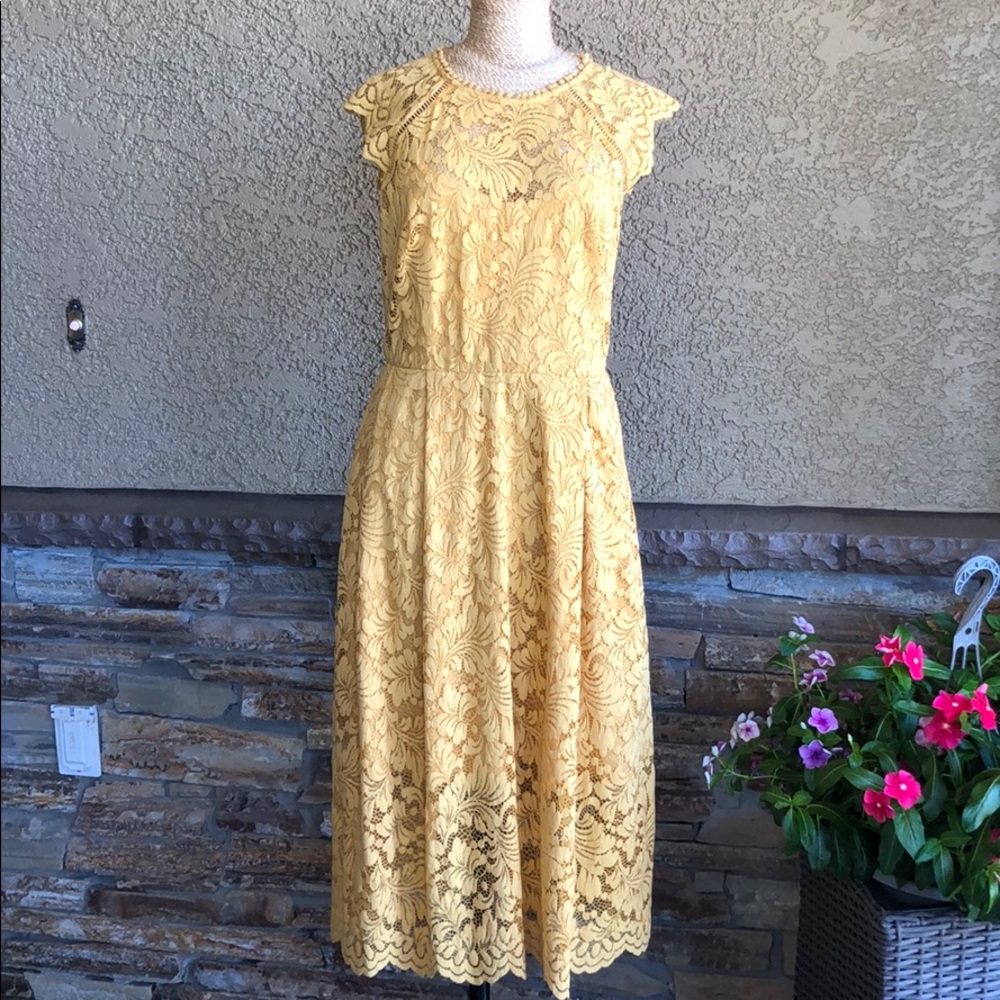 Vince Camuto Dress